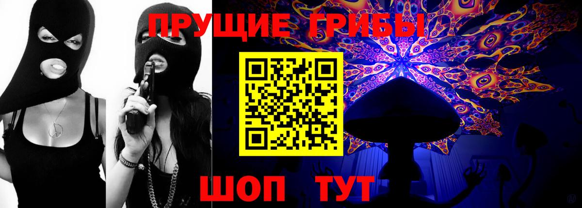 Псилоцибиновые грибы Cubensis Щёкино