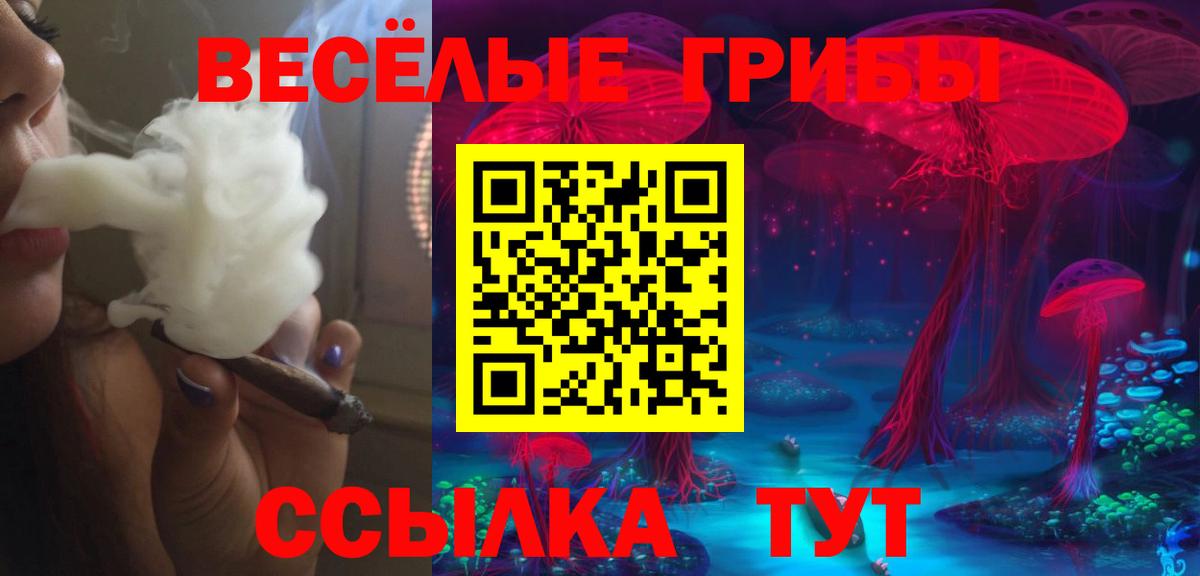 Галлюциногенные грибы мухоморы  Вход с VPN  Щёкино 